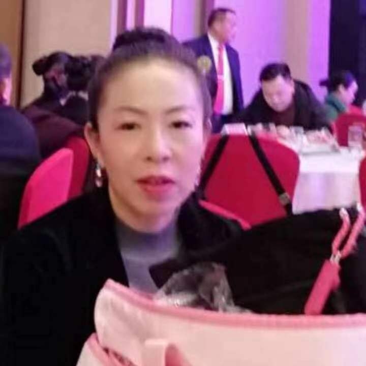中秋桂花玉兔的第四张照片--昆明相亲服务中心