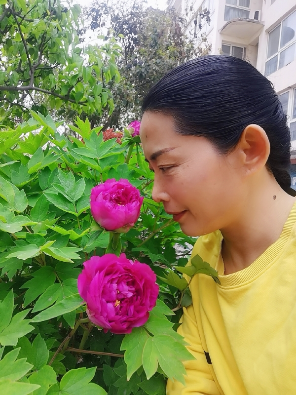 厚德载物的第一张照片--昆明相亲服务中心